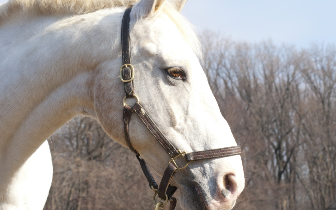 Happy Retirement Mason!