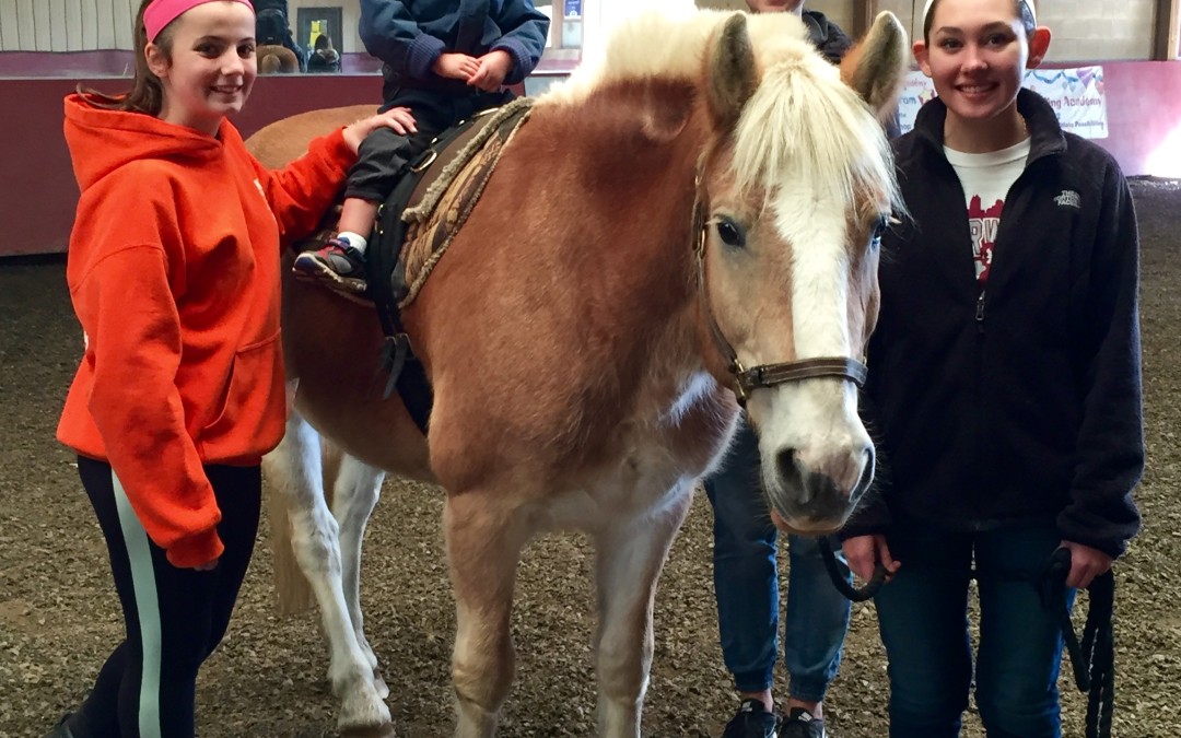 Welcome New Therapy Horse Chai!