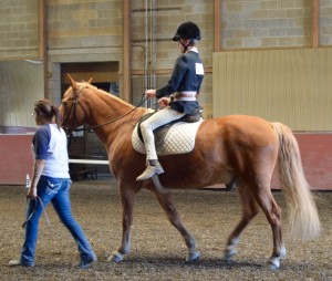 Kevin Rides Without Stirrups 