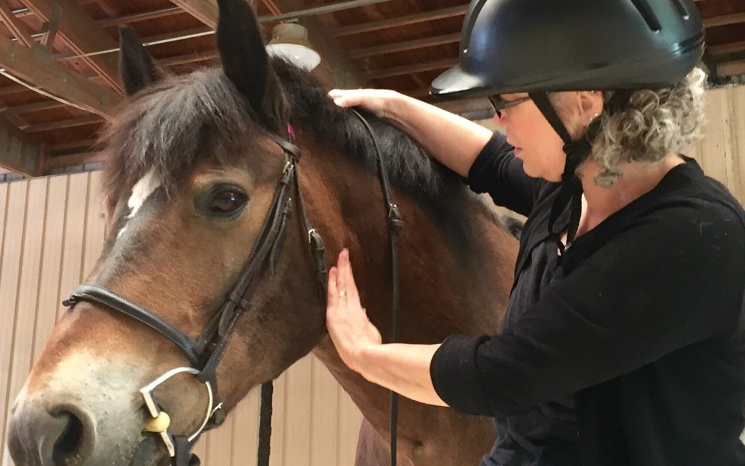 Sign up for Senior Saddles Fall 2016