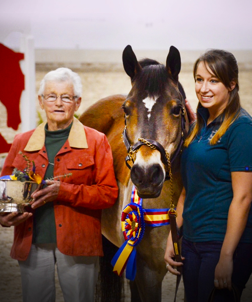 Clyde wins PA National Horse Show Therapy Horse of the Year