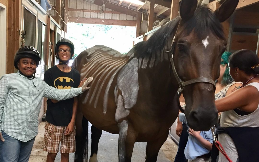 Summer Program learns horse anatomy at Pegasus
