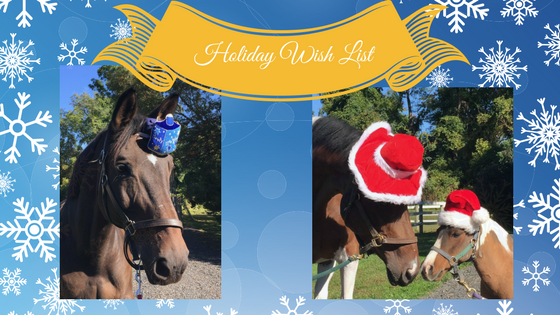 Wondering what the horses want for the holidays?