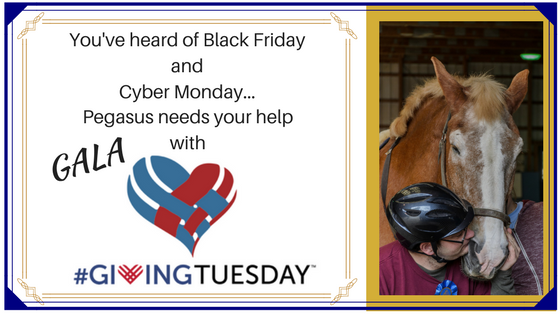 It’s #GivingTuesday Time!