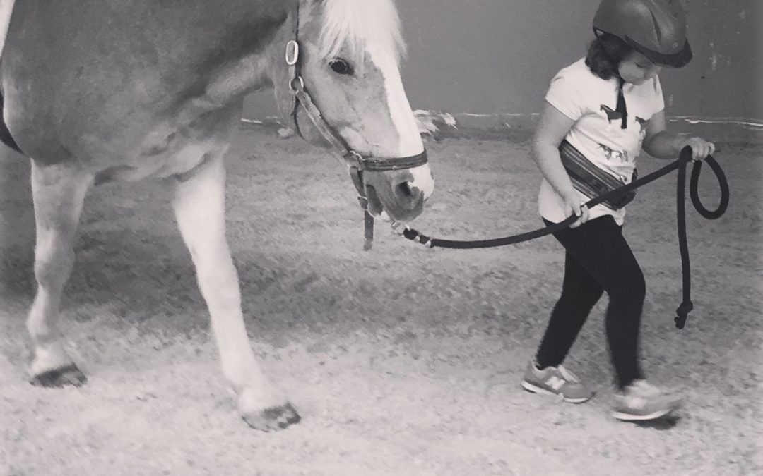 2018 Summer ‘Try Me’ Program at Pegasus TRA