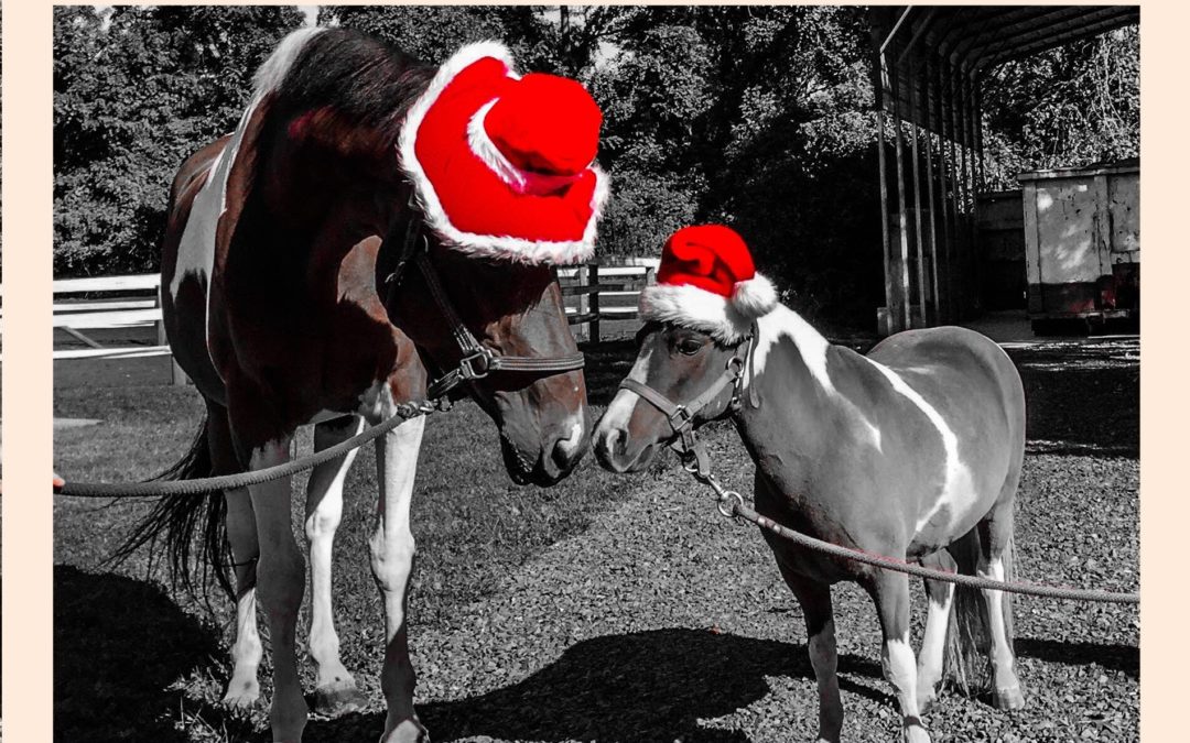 Twas the Night before Christmas….