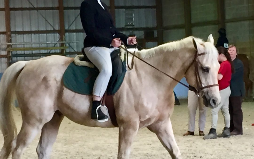 2018 Annual Horse Show Results