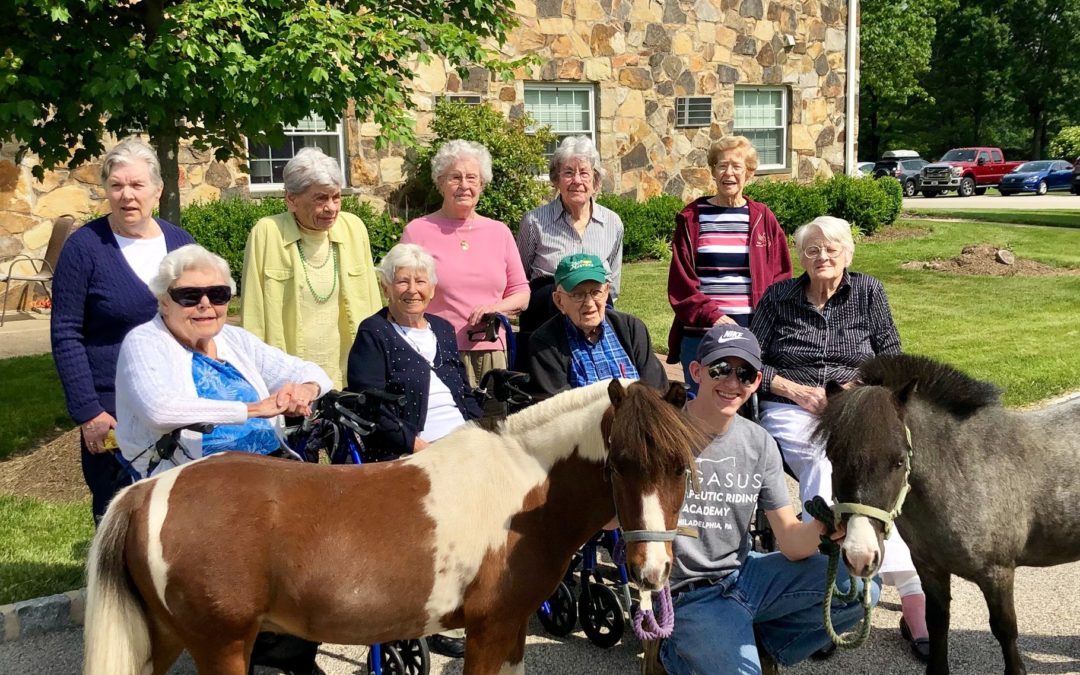 Big Mac and Bleu Visit Spring House Estates