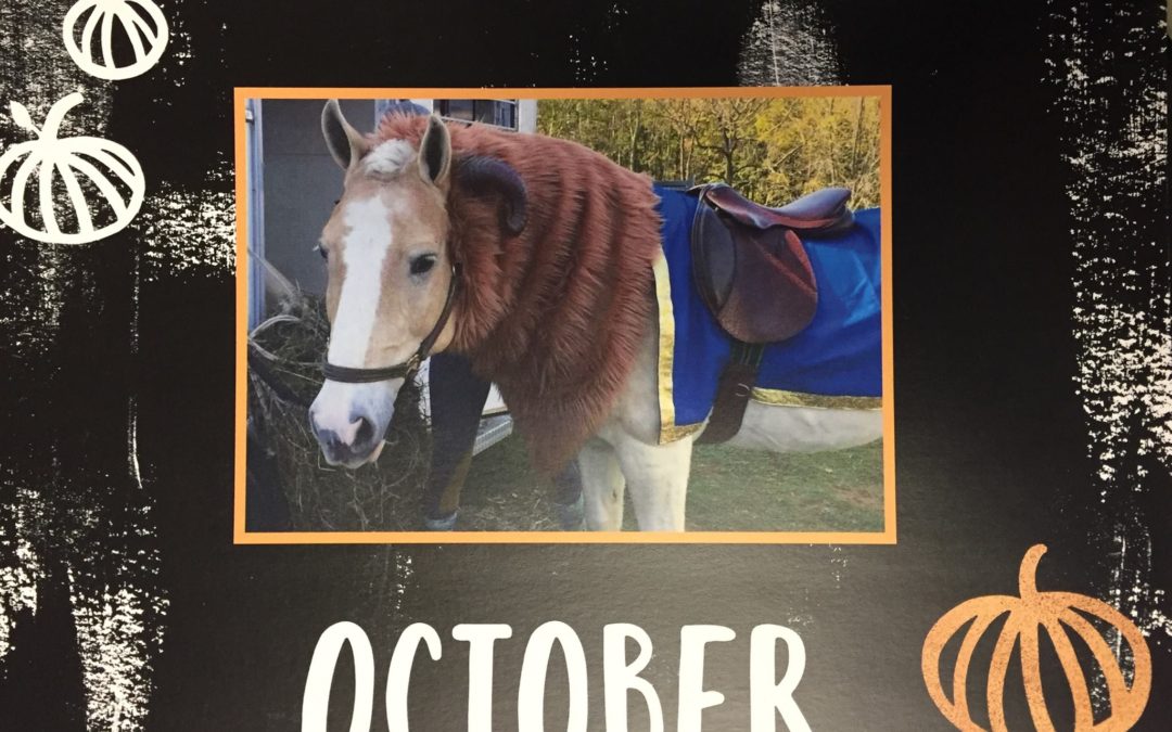 2019 Pegasus Calendars available for sale! Pegasus Therapeutic Riding