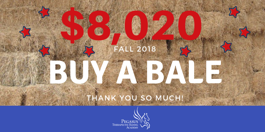 THANK YOU for an aweseome 2018 Buy A Bale Contest!