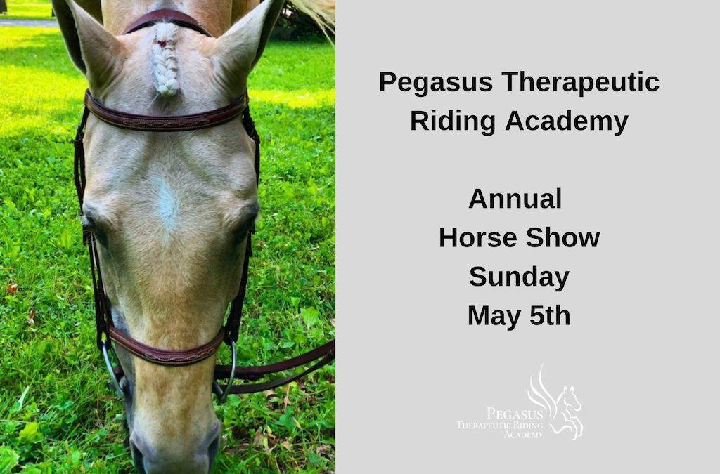Welcome to the 2019 Annual Pegasus TRA Horse Show!