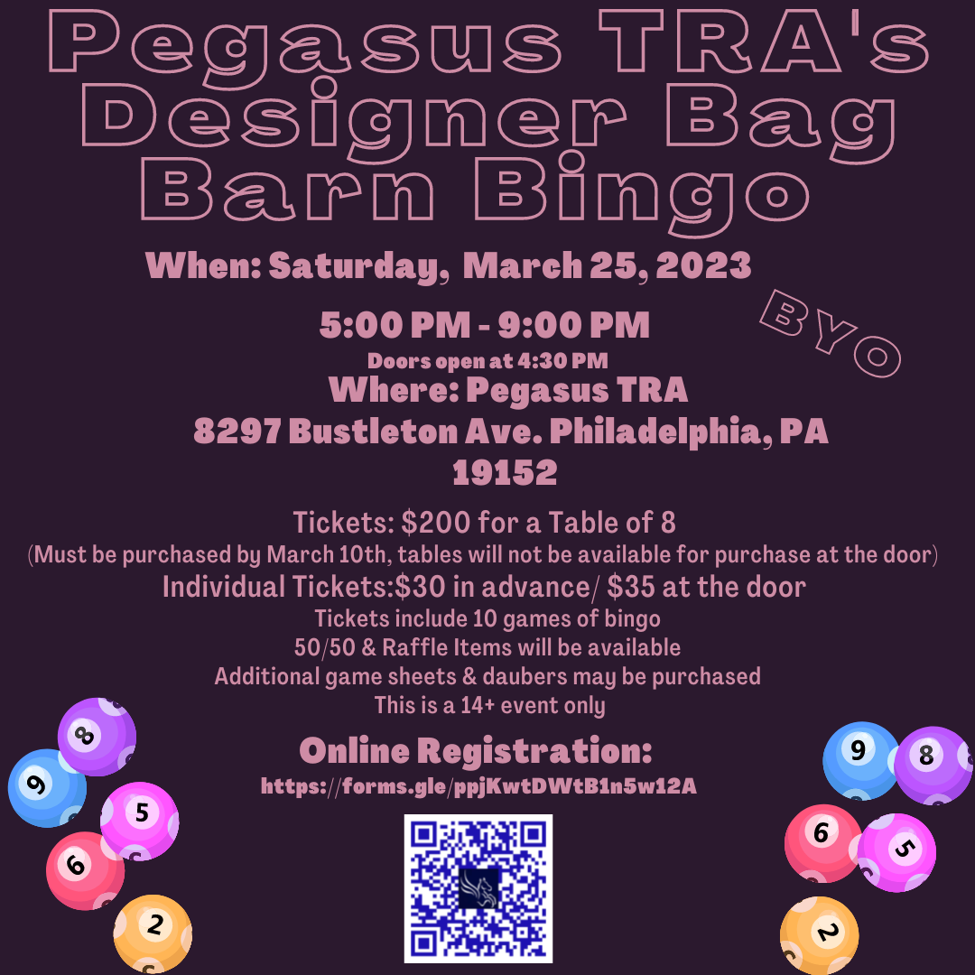 Pegasus TRA's Designer Bag Barn Bingo